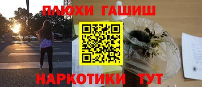прущие грибы Гай
