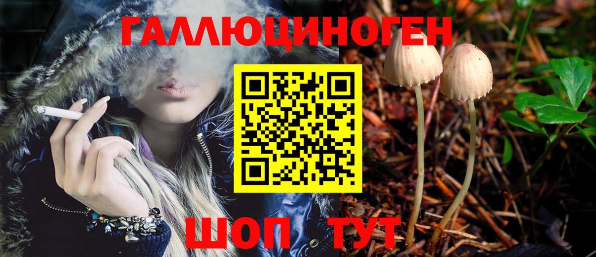 Псилоцибиновые грибы Psilocybe  Иваново  Псилоцибиновые грибы GOLDEN TEACHER 