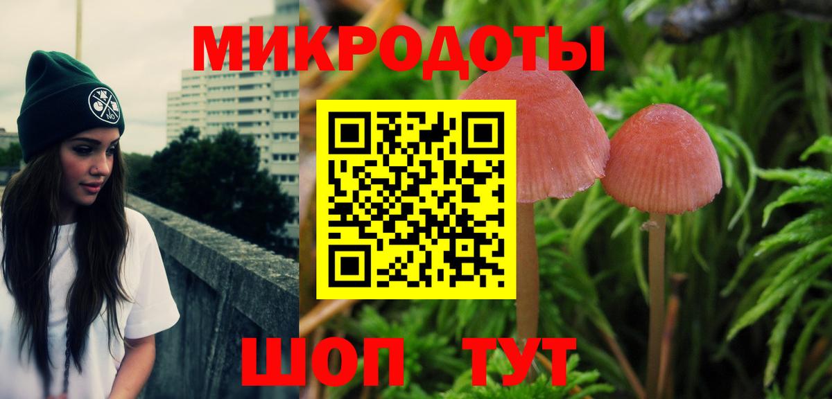Галлюциногенные грибы GOLDEN TEACHER  Вход с VPN  Иваново  Галлюциногенные грибы Psilocybine cubensis 