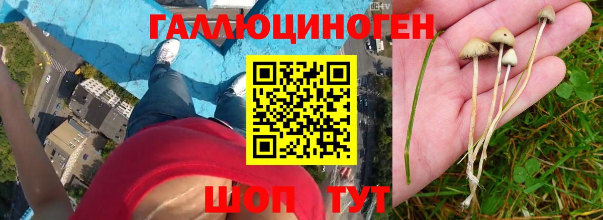 Галлюциногенные грибы мицелий Иваново